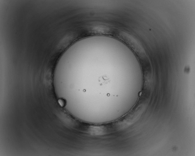 X0000103940457200809261729