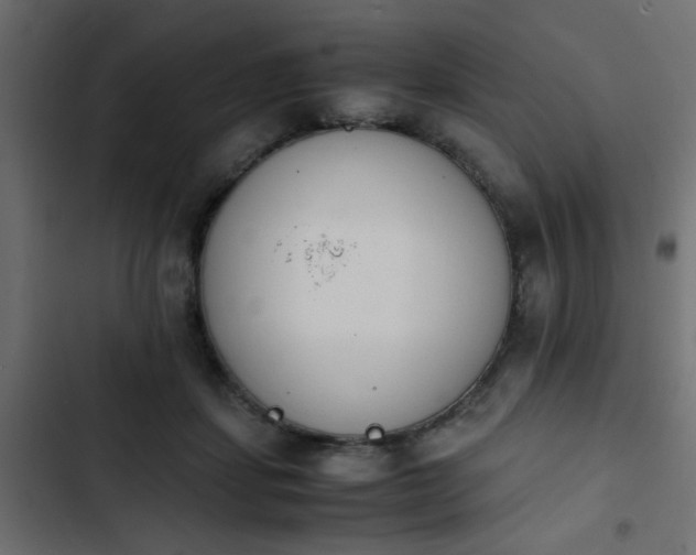 X0000103940459200809261729