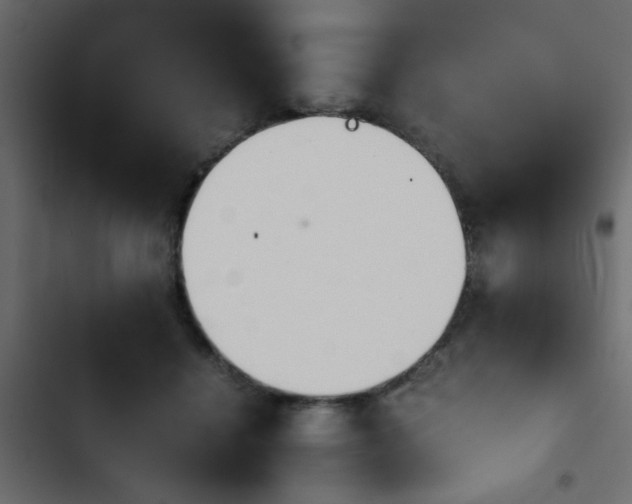 X0000103940460200809261729