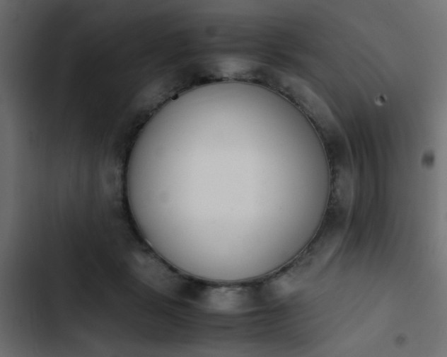 X0000103940461200809261729