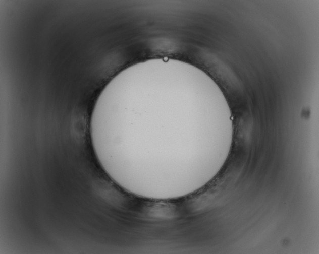 X0000103940463200809261729