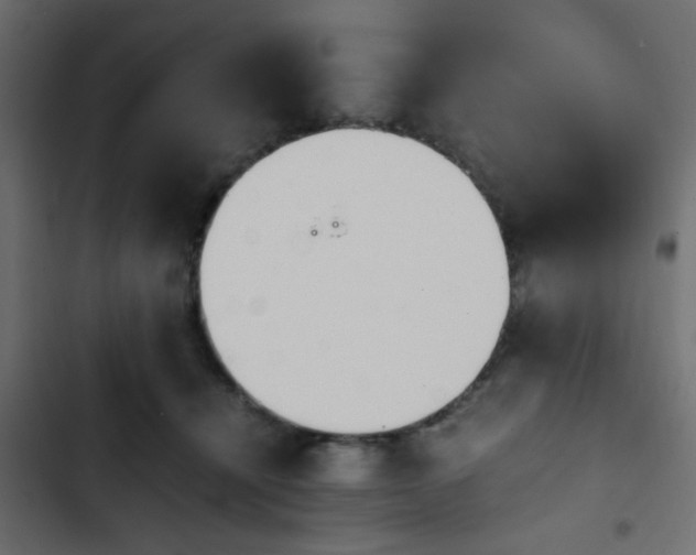 X0000103940464200809261729