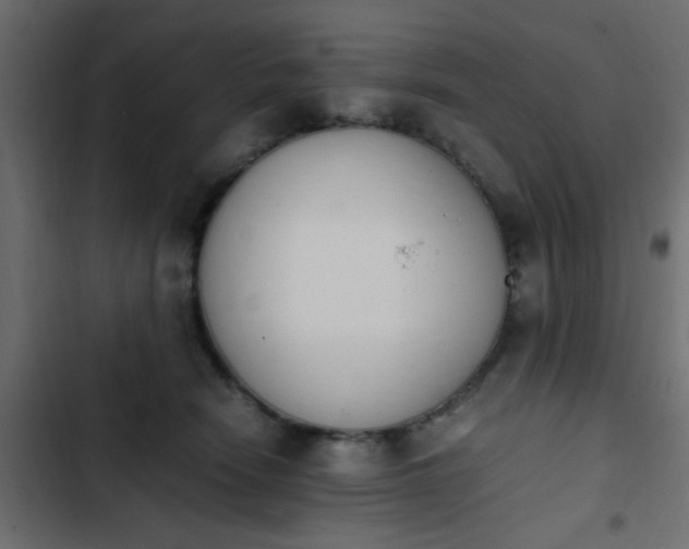 X0000103940466200809261729