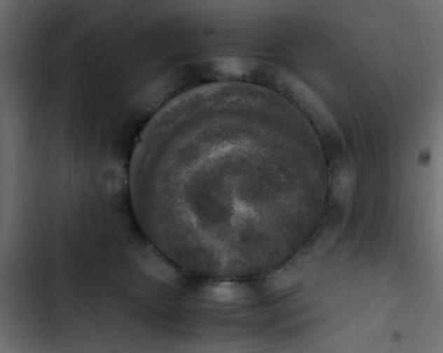 X0000103940467200809261729