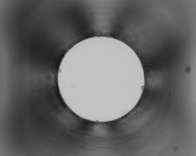 X0000103940468200809261729