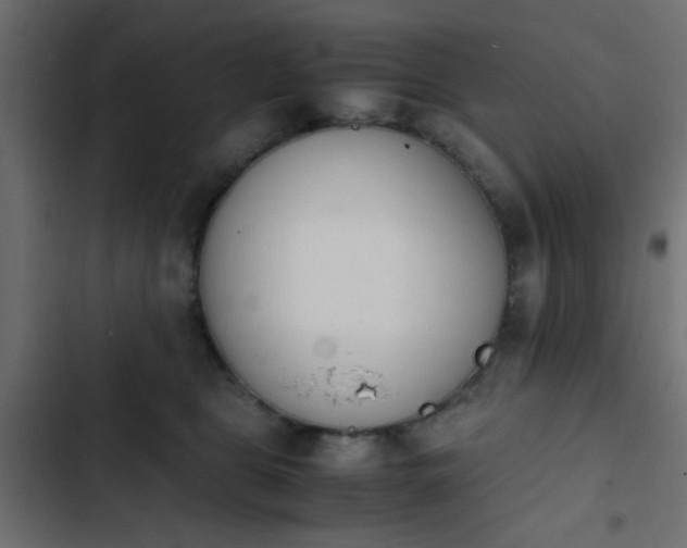 X0000103940469200809261729