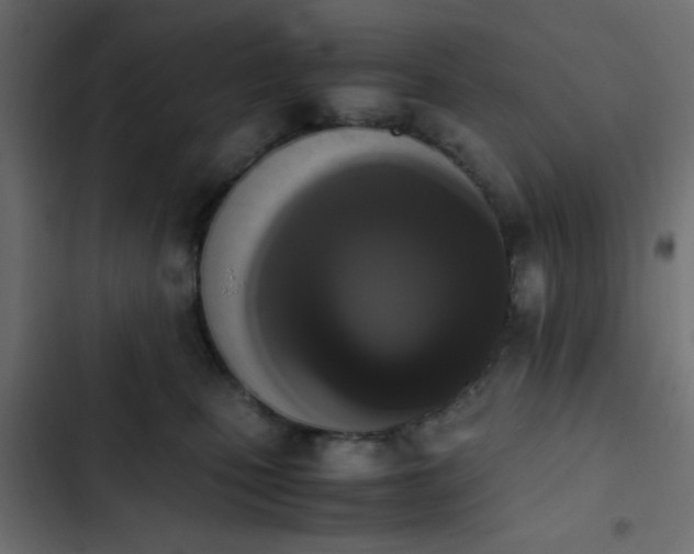 X0000103940471200809261729