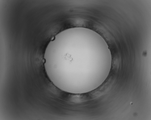 X0000103940473200809261729