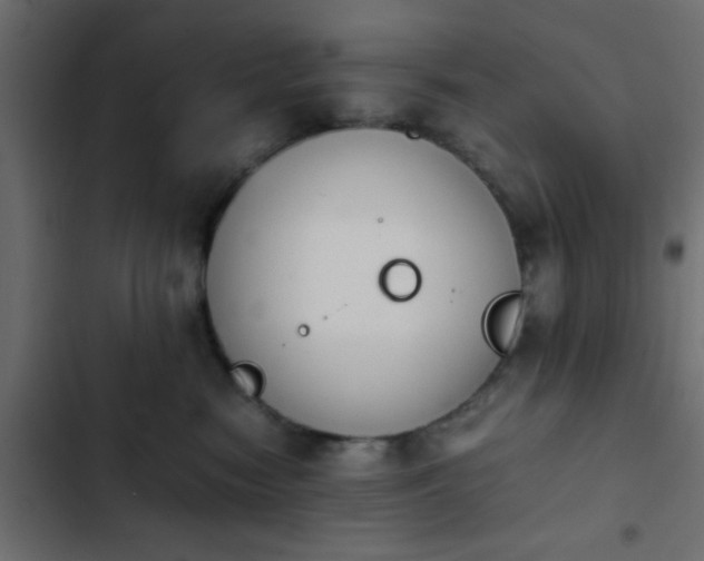 X0000103940474200809261729