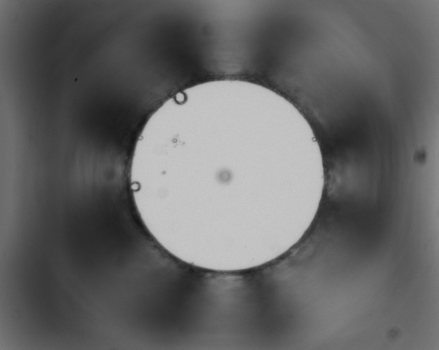 X0000103940476200809261729