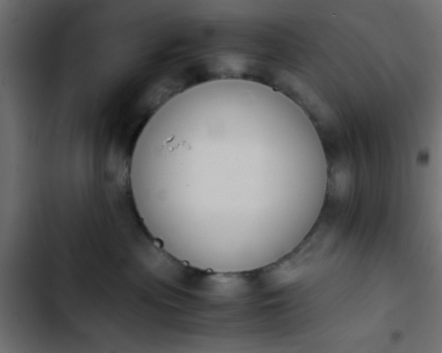 X0000103940477200809261729