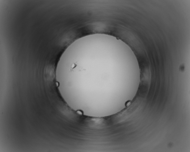 X0000103940478200809261729