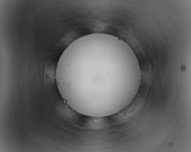 X0000103940479200809261729