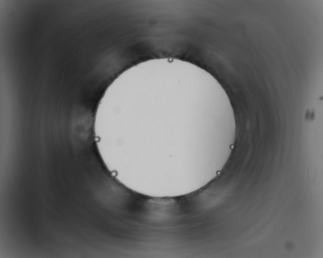 X0000103940480200809261729