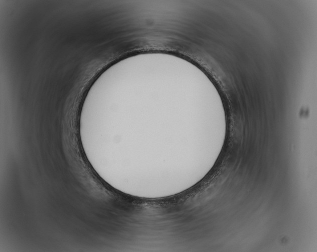 X0000103940481200809261729