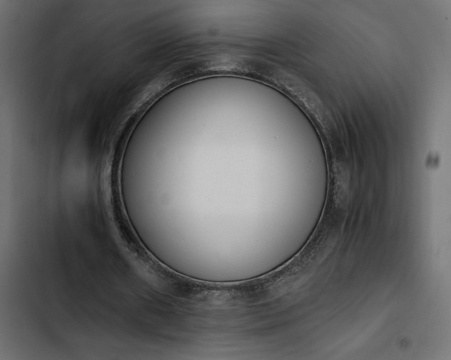 X0000103940482200809261729