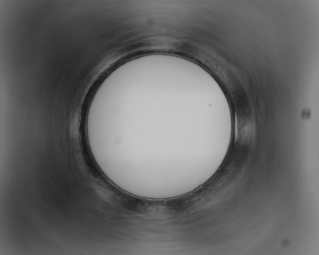 X0000103940483200809261729