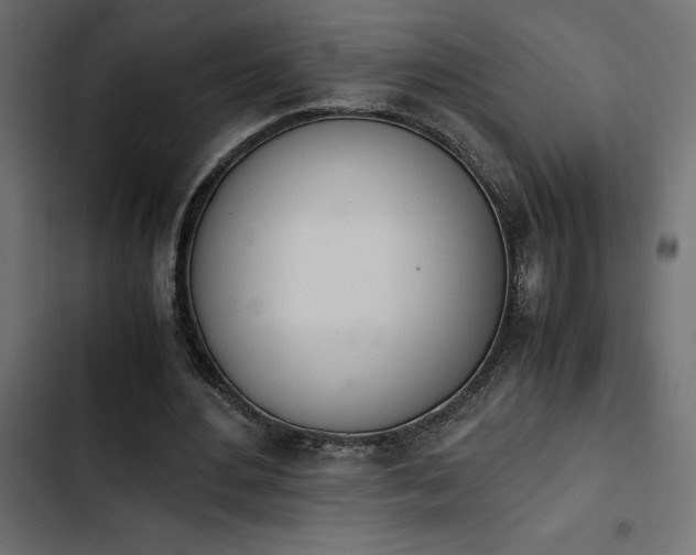 X0000103940484200809261729