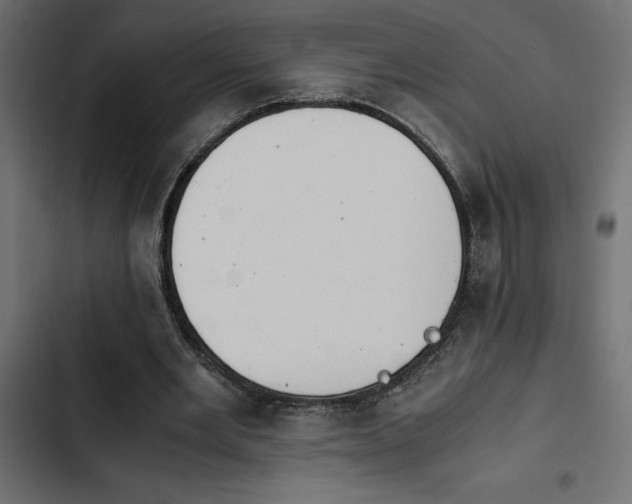 X0000103940485200809261729