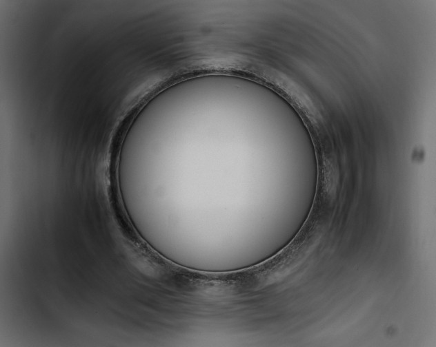 X0000103940486200809261729