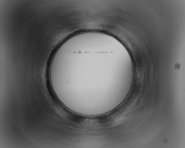 X0000103940487200809261729