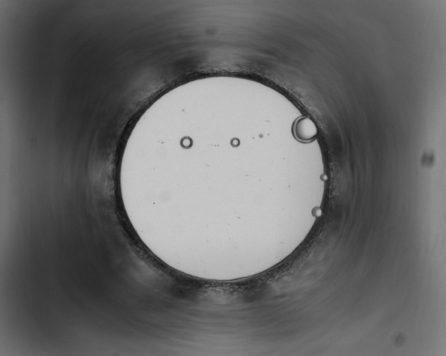 X0000103940489200809261729