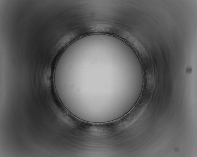 X0000103940490200809261728