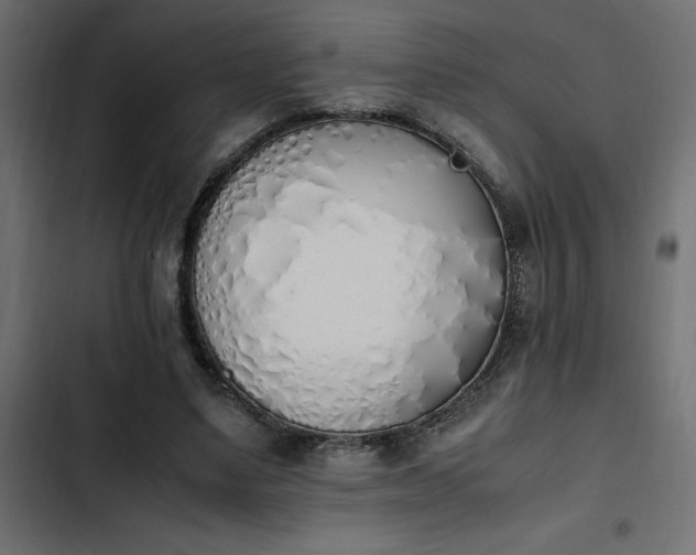 X0000103940491200809261728