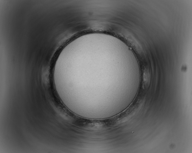 X0000103940492200809261728