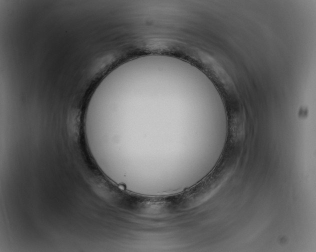 X0000103940495200809261728