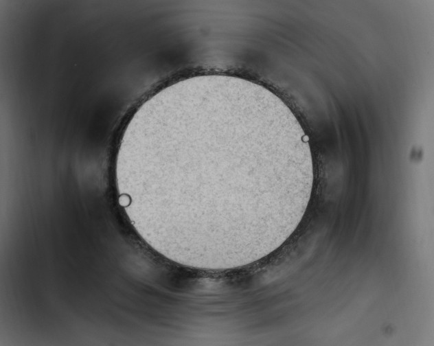 X0000103940496200809261728