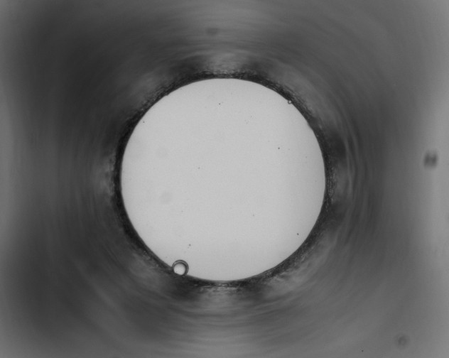 X0000103940497200809261728