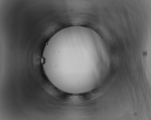 X0000103940499200809261728