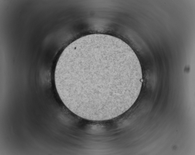 X0000103940500200809261728