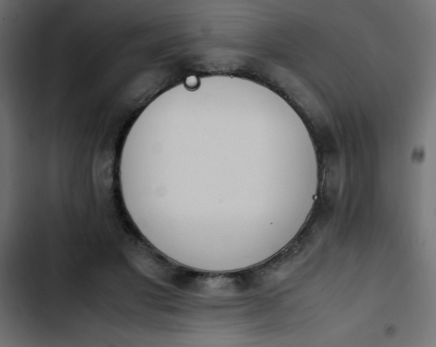 X0000103940501200809261728