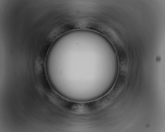 X0000103940503200809261728