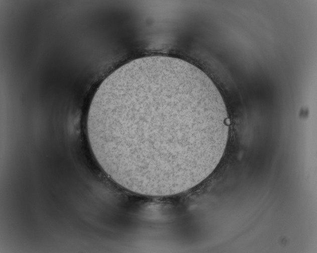 X0000103940504200809261728