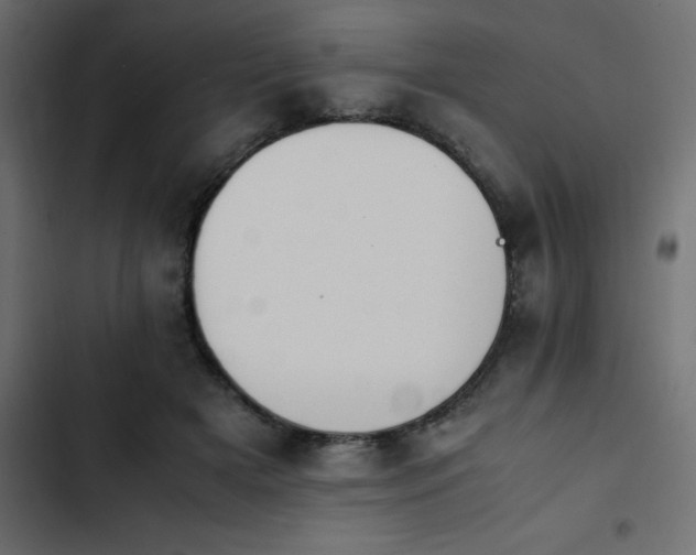X0000103940505200809261728