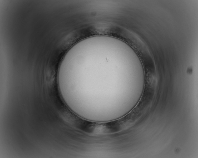 X0000103940507200809261728