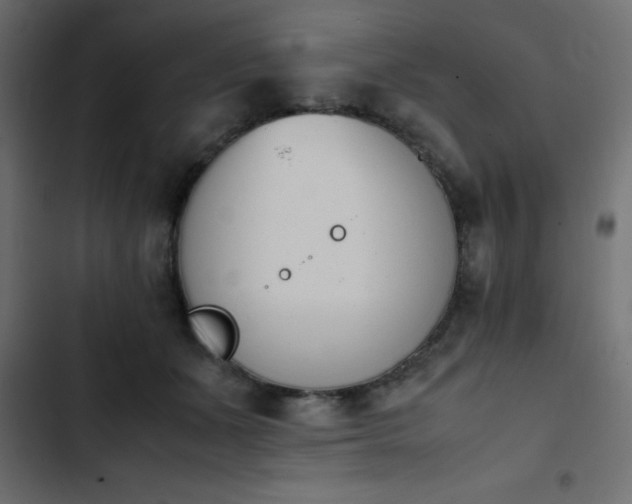 X0000103940511200809261728