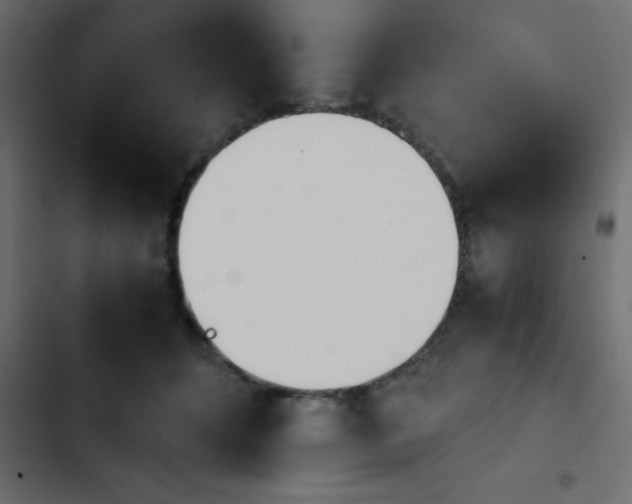 X0000103940512200809261728