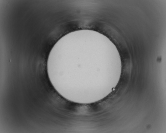 X0000103940513200809261728