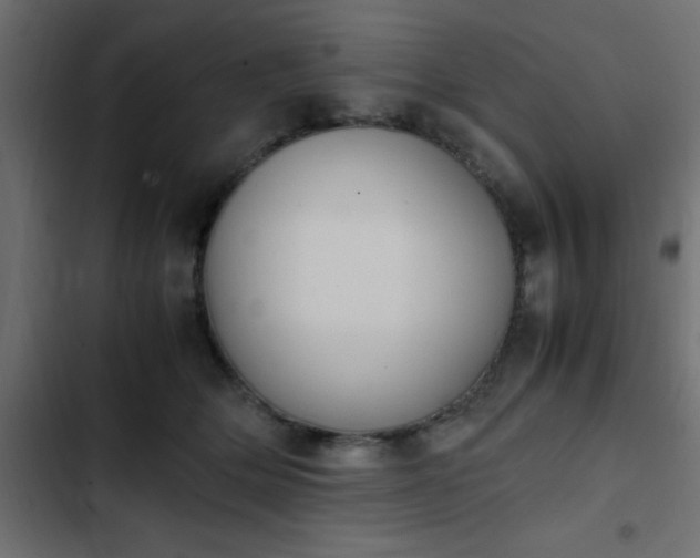 X0000103940514200809261728