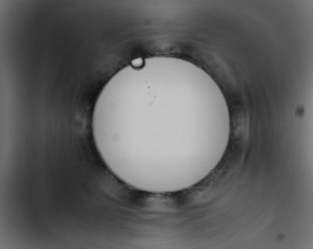 X0000103940515200809261728