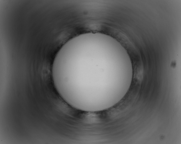 X0000103940518200809261728