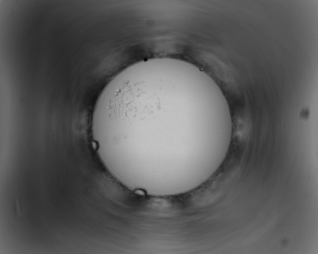 X0000103940519200809261728