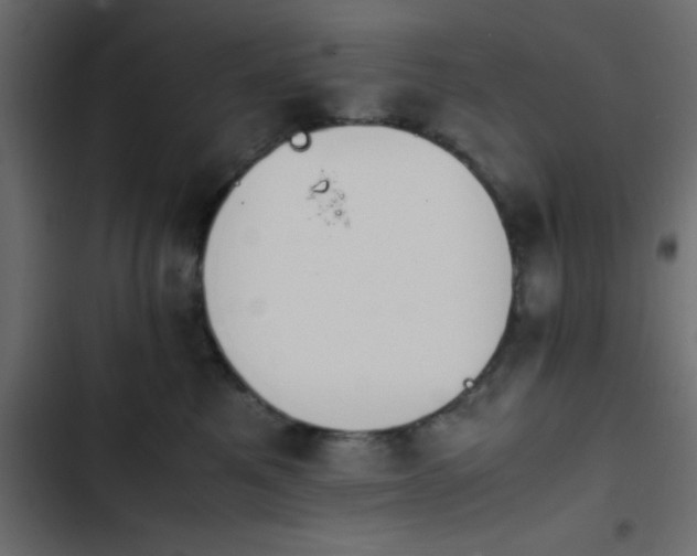 X0000103940521200809261728