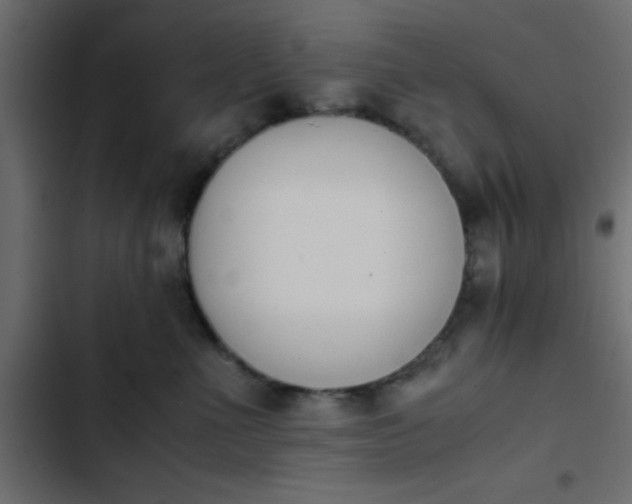 X0000103940523200809261728