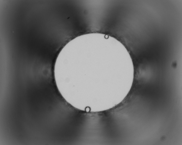 X0000103940524200809261728
