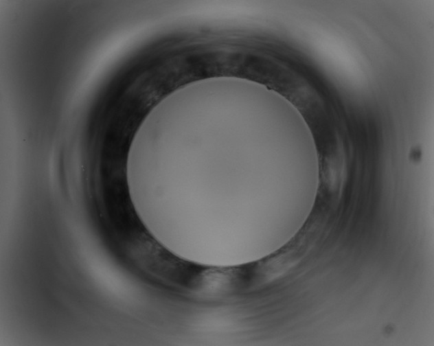 X0000103940526200809261728